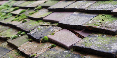 Horton Wharf roof repair costs